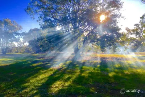 5 Cycad Cres, Wundowie, WA 6560