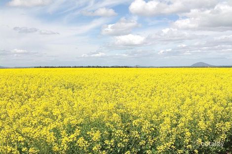 3502 Goolhi Rd, Ghoolendaadi, NSW 2380