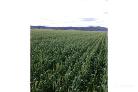 3 Port Germein Rd, Port Germein, SA 5495