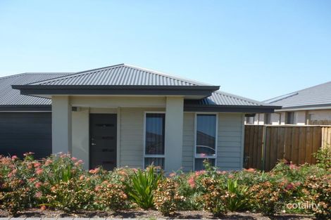 13 Snipe St, Fletcher, NSW 2287