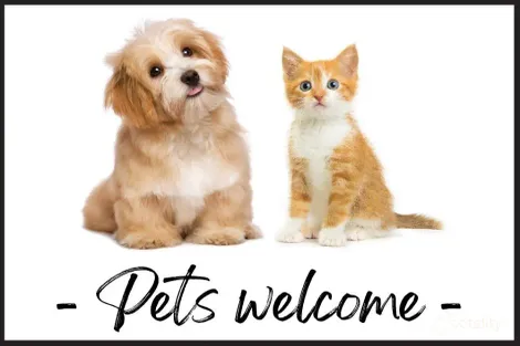 Property photo of 4/111 Frank Street Labrador QLD 4215