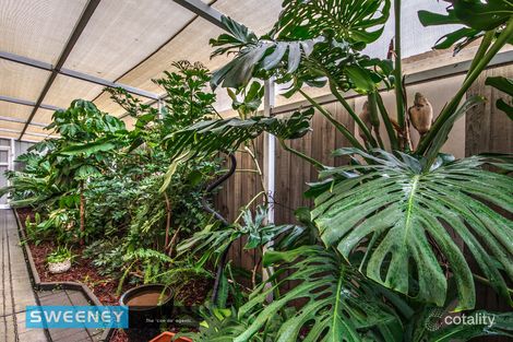 Property photo of 6 The Avenue Sunshine West VIC 3020