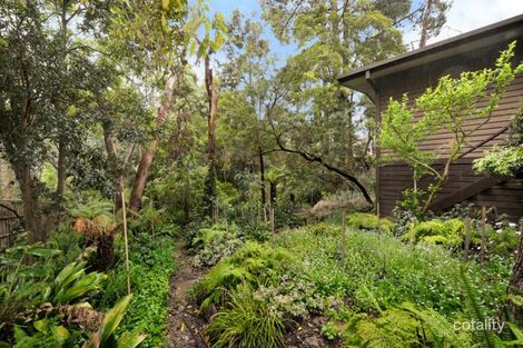6 Carey Ct, Blackburn, VIC 3130