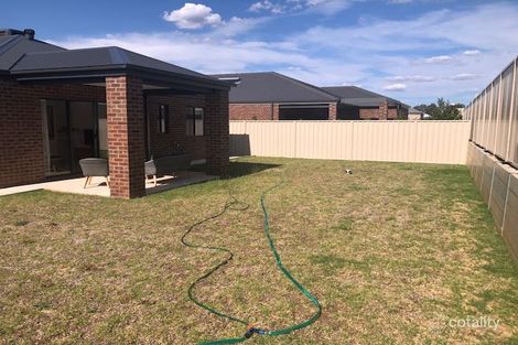 Property photo of 43 Maygar Avenue Wodonga VIC 3690