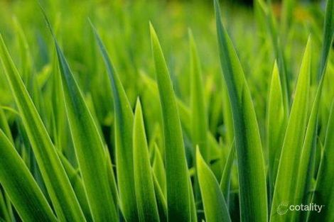 Property photo of 33 Waterloo Road Cranbourne East VIC 3977