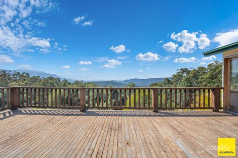 701 Darkwood Rd, Thora, NSW 2454
