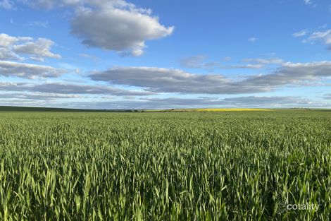 2705 Eneabba-Three Springs Rd, Kadathinni, WA 6519