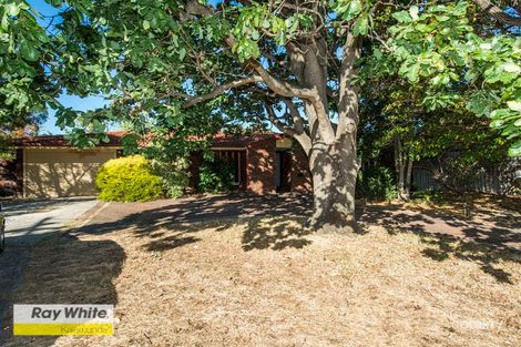 Property photo of 59 Kalmia Way Forrestfield WA 6058