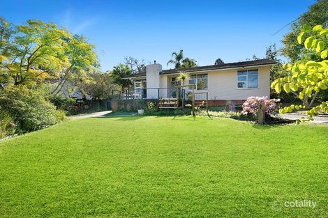 Property photo of 34 Mimosa Road Turramurra NSW 2074