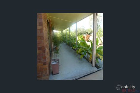 Property photo of 11 Trundle Street Dicky Beach QLD 4551