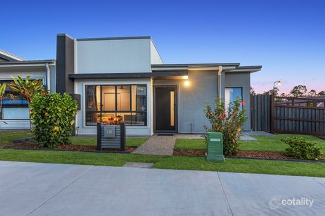 31 Watheroo St, South Ripley, QLD 4306