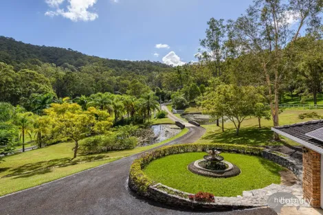 Property photo of 246 Crane Crescent Nerang QLD 4211