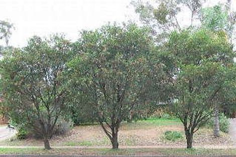 30 Yarramundi Dr, Dean Park, NSW 2761