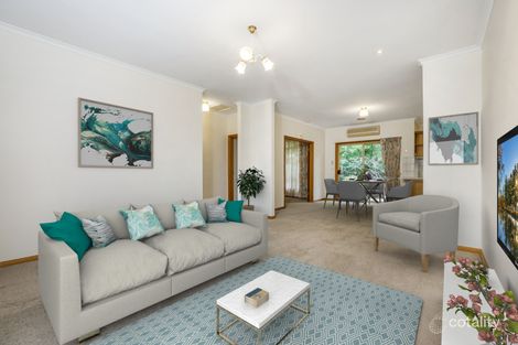 17/211 Wantirna Rd, Ringwood, VIC 3134