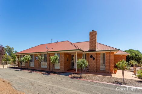 Property photo of 126 Lillypilly Road Leeton NSW 2705