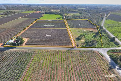 Property photo of 16 Puddletown Road Barmera SA 5345