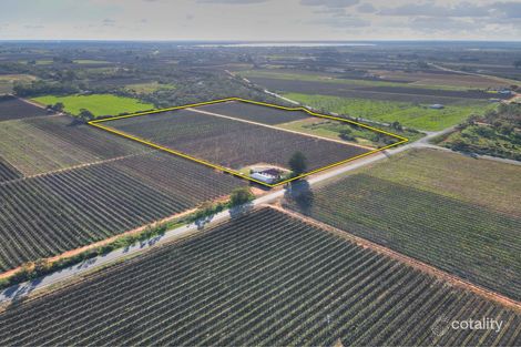 Property photo of 16 Puddletown Road Barmera SA 5345