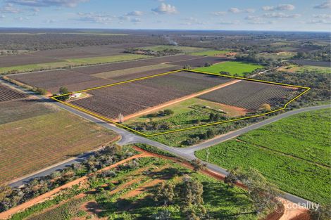 Property photo of 16 Puddletown Road Barmera SA 5345