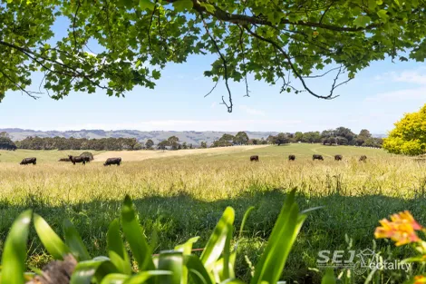 155 Coulters Rd, Mardan, VIC 3953