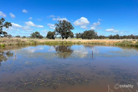 14317 Golden Hwy, Leadville, NSW 2844