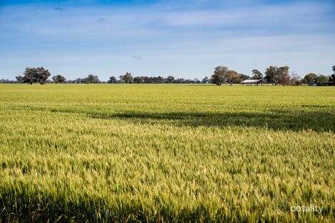 379 St James Rd, St James, VIC 3727