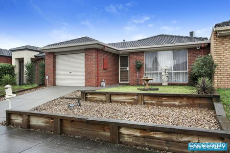 Property photo of 75 Fydler Avenue Burnside VIC 3023