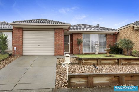 Property photo of 75 Fydler Avenue Burnside VIC 3023