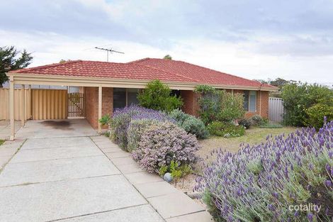 8 Petrel Cl, Beldon, WA 6027