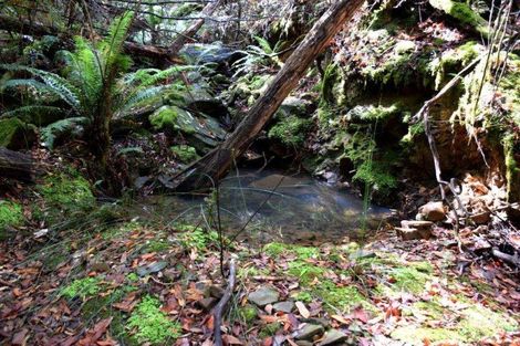 1 Cornwall Rd, St Marys, TAS 7215