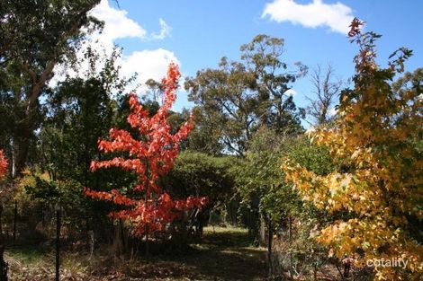 867 Campbells River Rd, Black Springs, NSW 2787