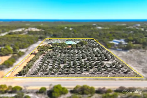 Property photo of 46 Homestead Loop Jurien Bay WA 6516