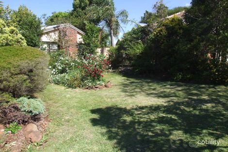 Property photo of 8 Wiemers Crescent Centenary Heights QLD 4350