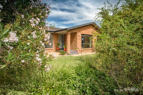 Property photo of 31 Grimshaw Street Richardson ACT 2905