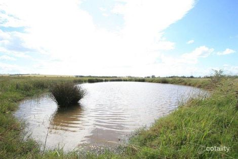 Property photo of 184 Mitchell Line Of Road Whittingham NSW 2330