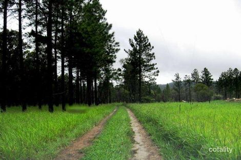 Property photo of 520 Koah Road Koah QLD 4881