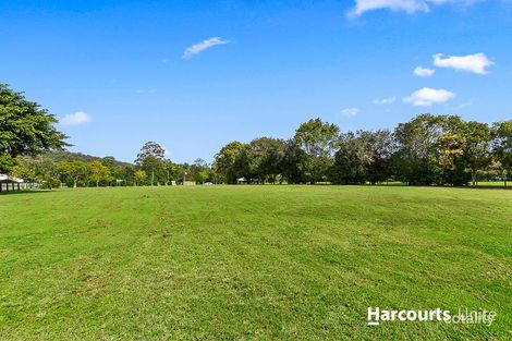 Property photo of 53 Fin Court Elimbah QLD 4516