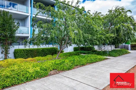 Property photo of 20/329 Flemington Road Franklin ACT 2913