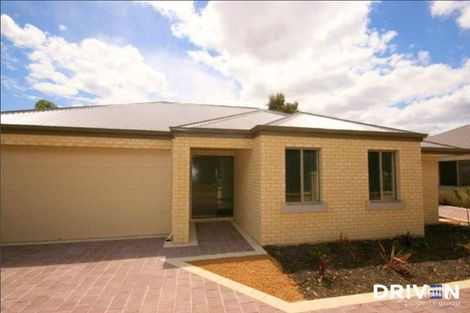 2/56 Ashburton St, Bentley, WA 6102