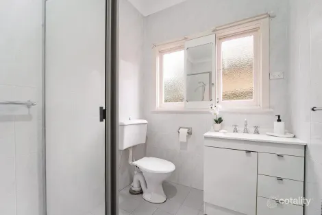 Property photo of 223 Northam Avenue Bankstown NSW 2200