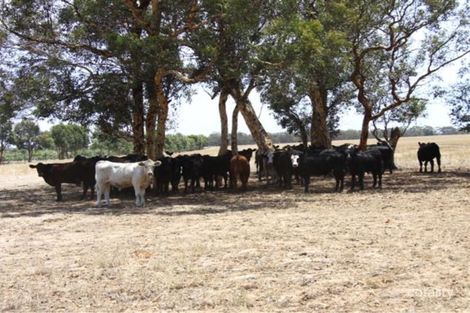 764 Bolgart East Rd, Bolgart, WA 6568