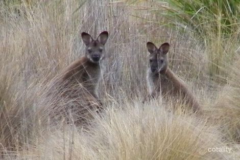 1 Stonehenge Rd, Stonehenge, TAS 7120