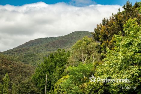 Property photo of 7 Yuonga Road Warburton VIC 3799