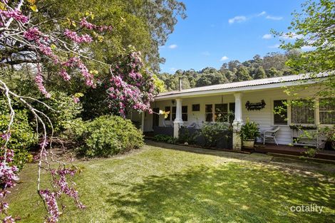 925 Barham River Rd, Apollo Bay, VIC 3233