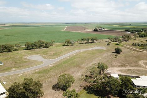 Property photo of 10 Nina Drive Ayr QLD 4807