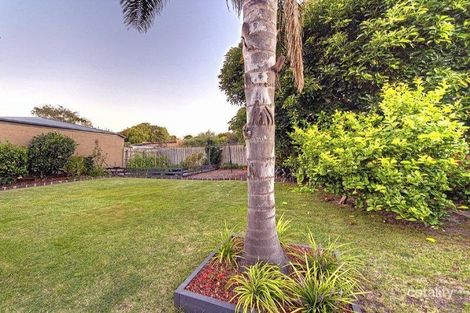 Property photo of 74 Tudor Street Bentleigh East VIC 3165