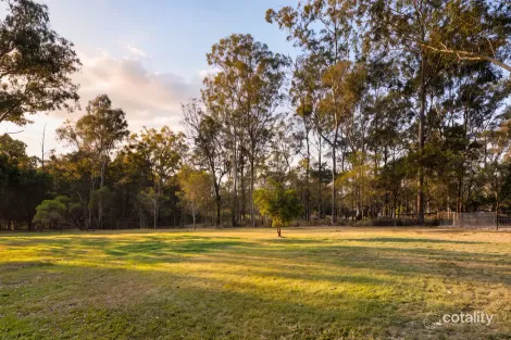 Property photo of 50 Bendemeer Street Karalee QLD 4306