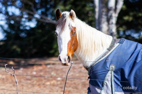 166 Yallakool Rd, Cooma, NSW 2630