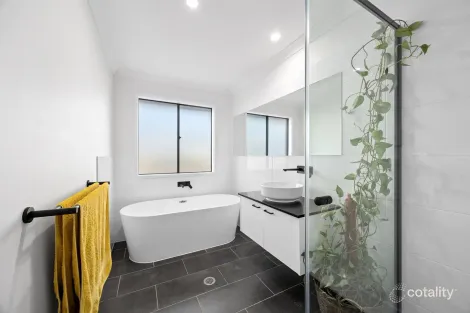 Property photo of 17 Vine Forest Crescent Palmwoods QLD 4555