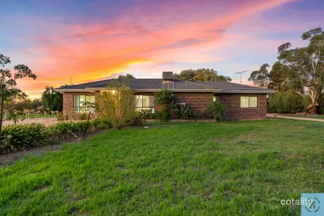 Property photo of 55 Honniball Drive Tocumwal NSW 2714