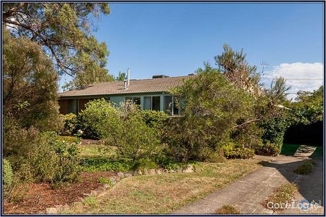 Property photo of 29 Angophora Street Rivett ACT 2611